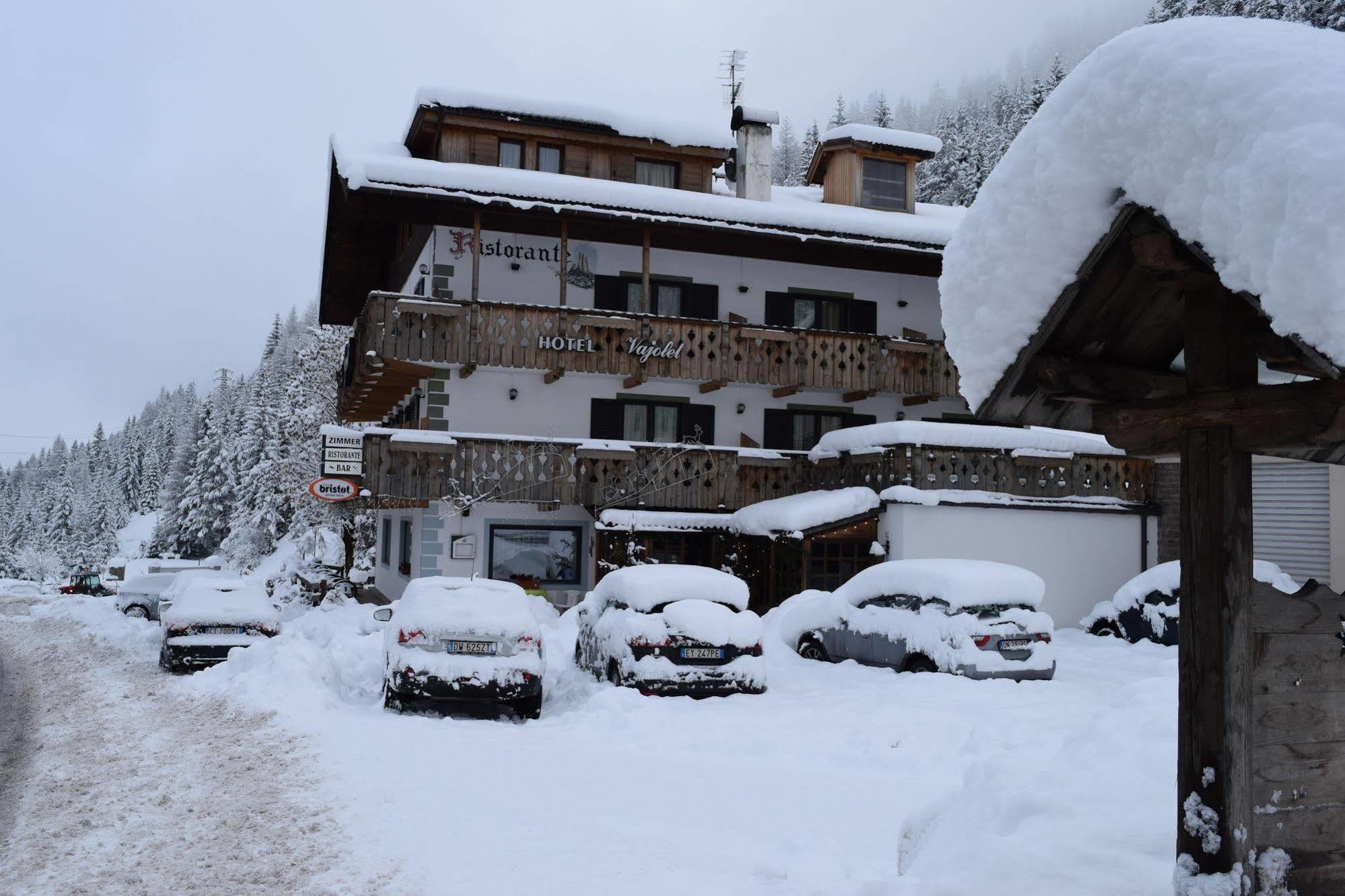 Hotel Vajolet Mazzin Esterno foto